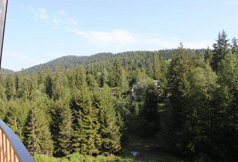 Bakuriani House In Forest