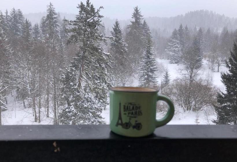 Bakuriani House In Forest