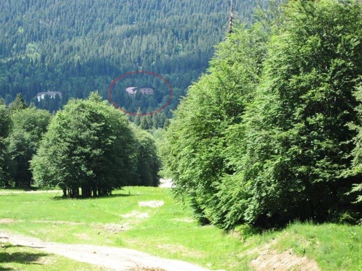 Bakuriani House In Forest