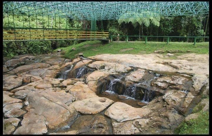 هتل Cabañas Guacari San Agustín Huila