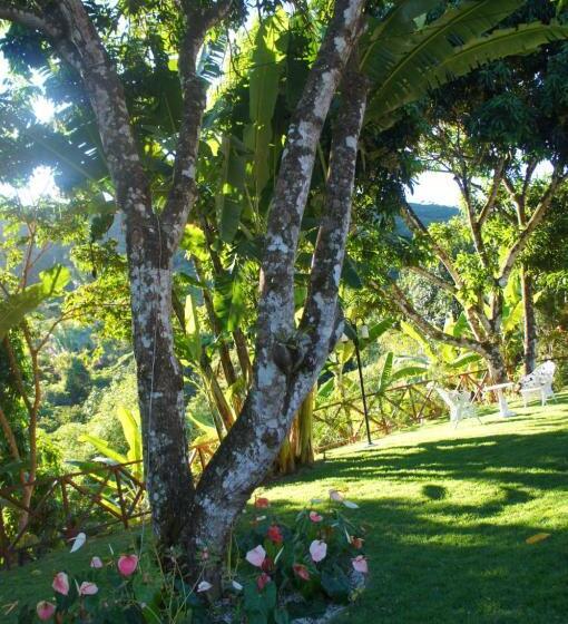 فندق Cantinho Das Flores