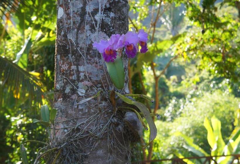فندق Cantinho Das Flores