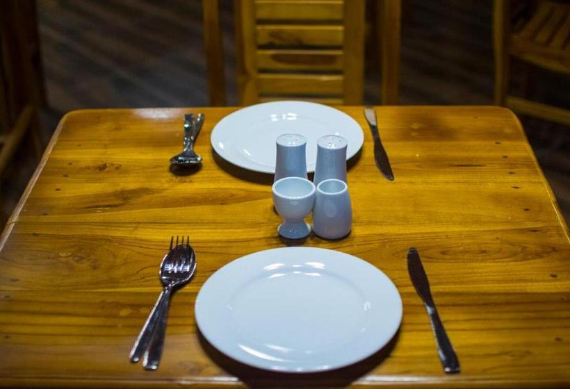 Отель Mrd Beach