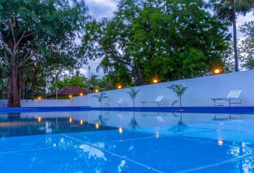 Отель Mrd Beach