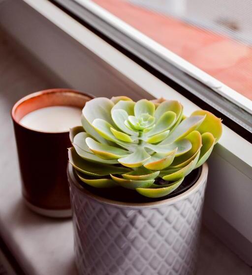 Kochwerk Restaurant & Pension