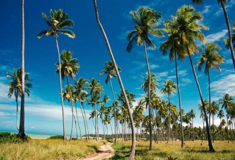 ペンション Pousada Divino Milagre