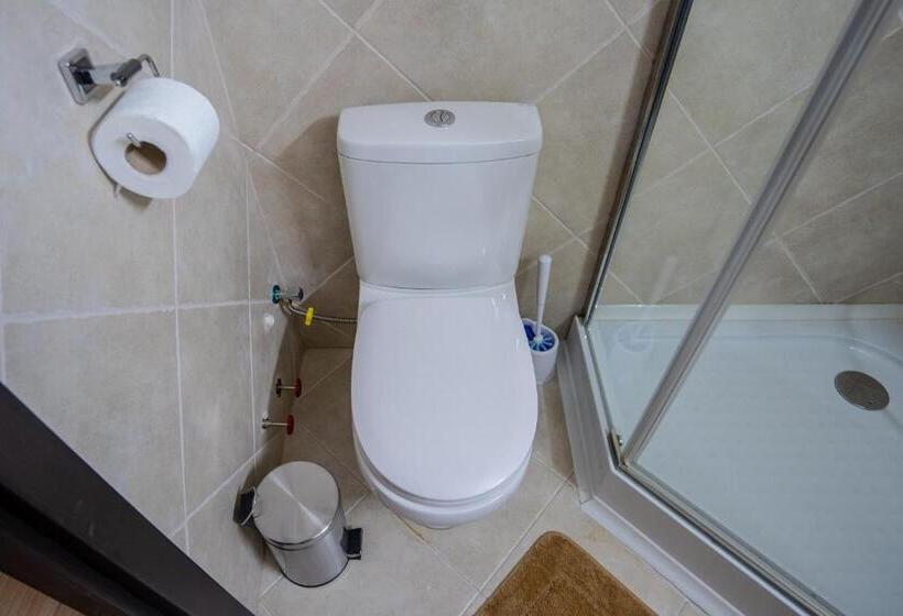 Wine Inn Borjomi Apart