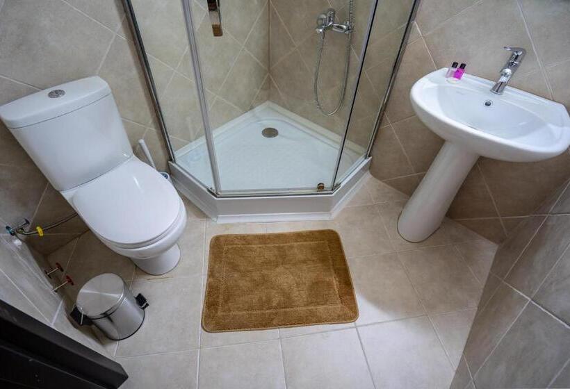 Wine Inn Borjomi Apart