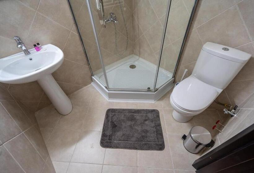 Wine Inn Borjomi Apart