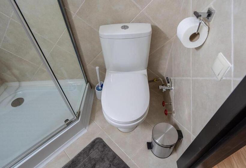 Wine Inn Borjomi Apart