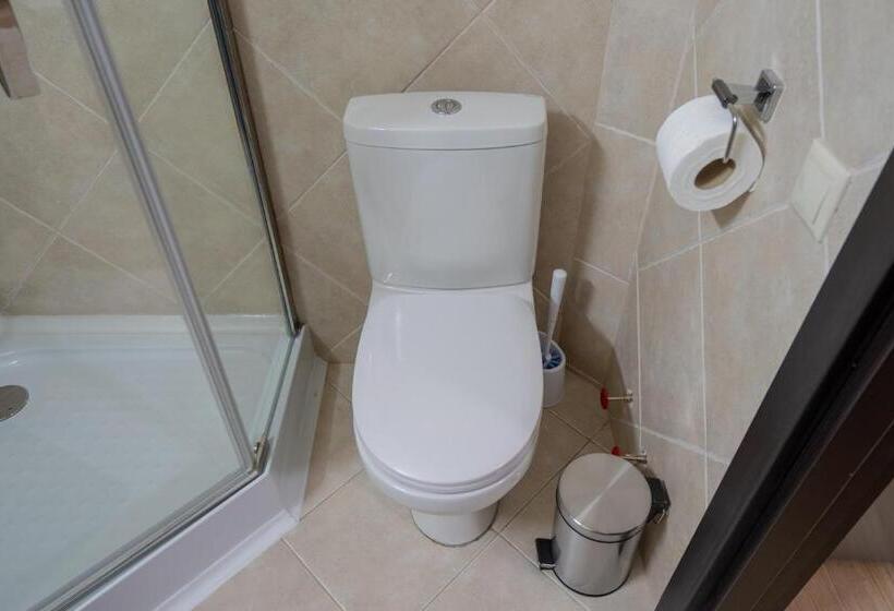 Wine Inn Borjomi Apart