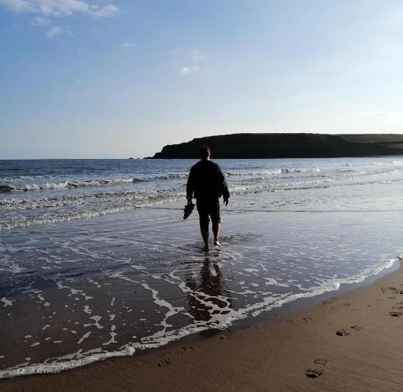 فندق صغير The Dial Inn