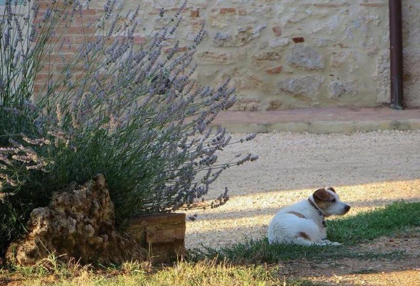 호텔 Agriturismo La Segolina