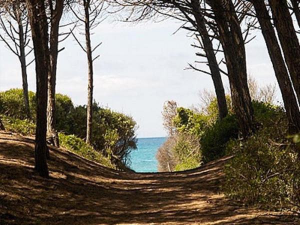 펜션 Affittacamere A Due Passi Dal Mare