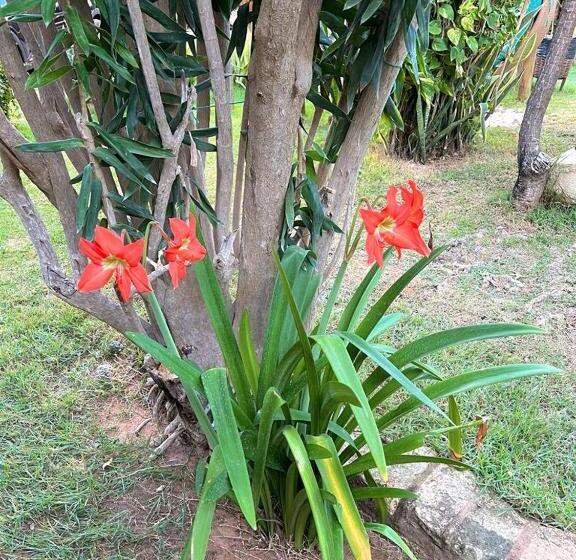 Пансион Butterfly House