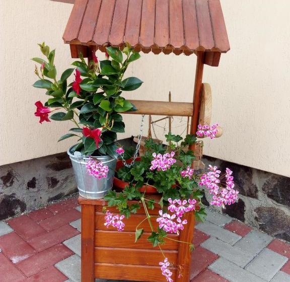 بنسيون Casa Infinity