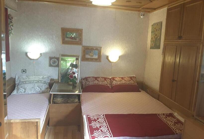 بنسيون Diana Guesthouse