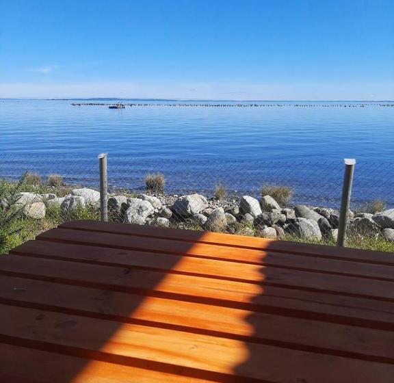 Pension Hostal Y Cabañas Mozart