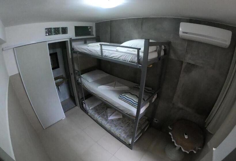 פנסיון Mata Virgem Hostel E Pousada