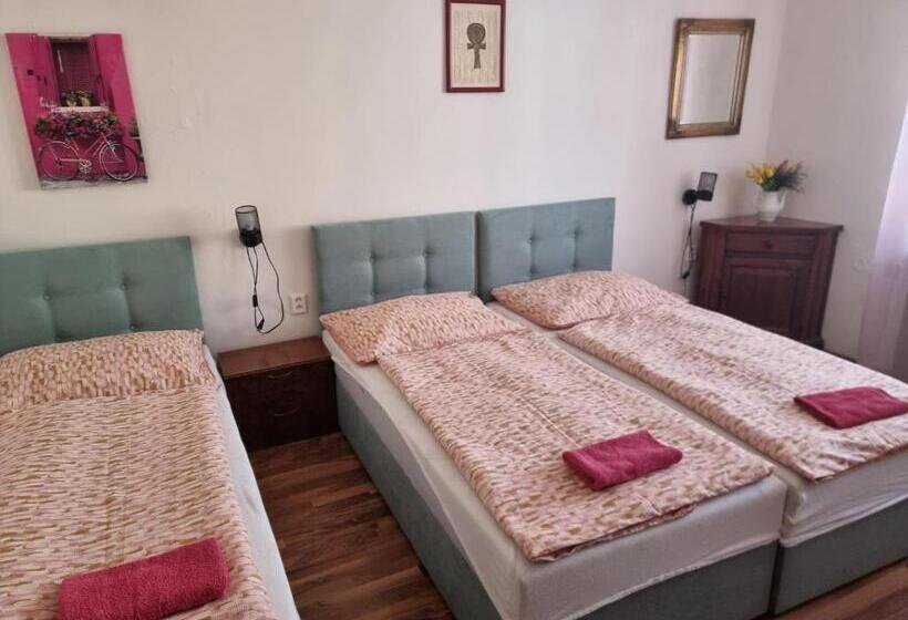 פנסיון Penzion A Víno