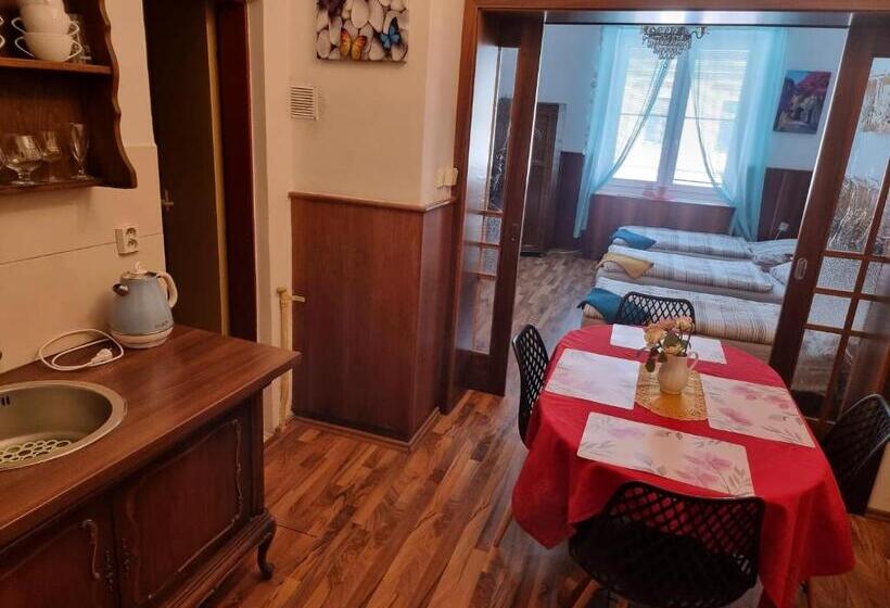 פנסיון Penzion A Víno