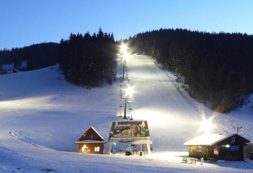 פנסיון Penzion Silverado