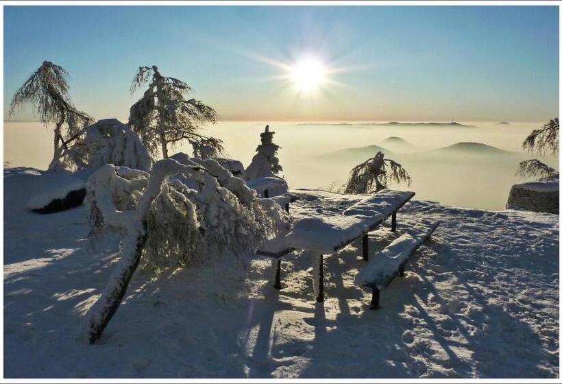 פנסיון Penzion Silverado