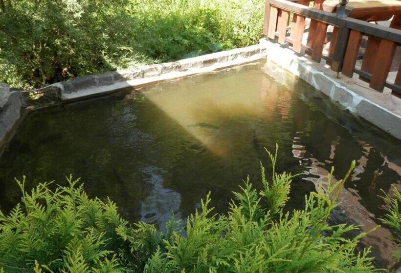 پانسیون Penzion Stárek