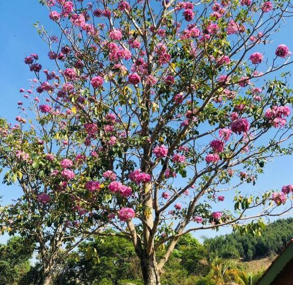 ペンション Pousada Ecológica Rio Do Peixe