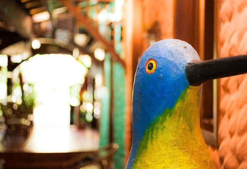 펜션 Pousada Sonho Da Lagoa