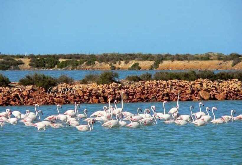 Playamarina 1 Reception