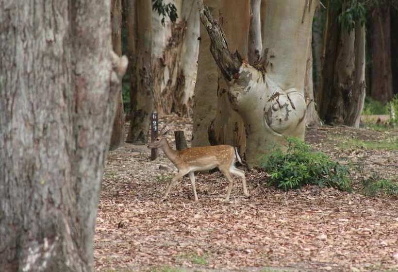تختخواب و صبحانه Complejo Playa Grande Punta Del Diablo