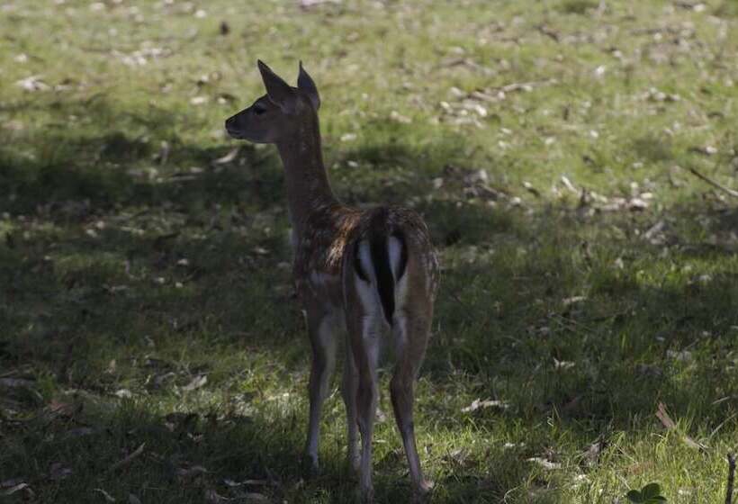 تختخواب و صبحانه Complejo Playa Grande Punta Del Diablo