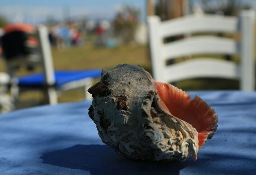 Nocleg ze śniadaniem Surf Inn Gokceada