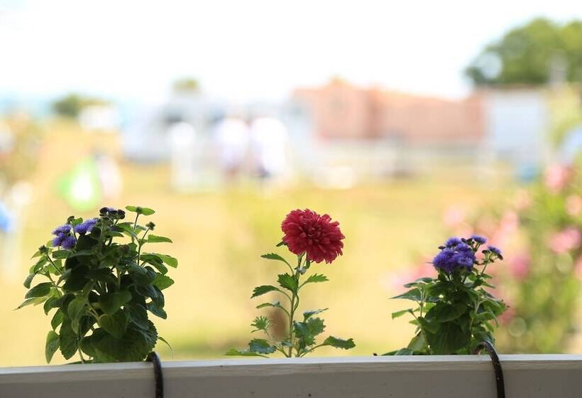 Nocleg ze śniadaniem Surf Inn Gokceada