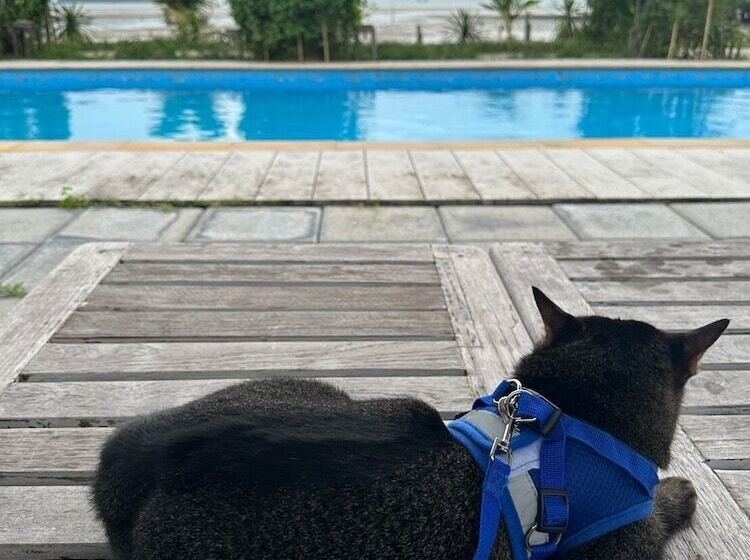 Отель Artisan Koh Yao Yai