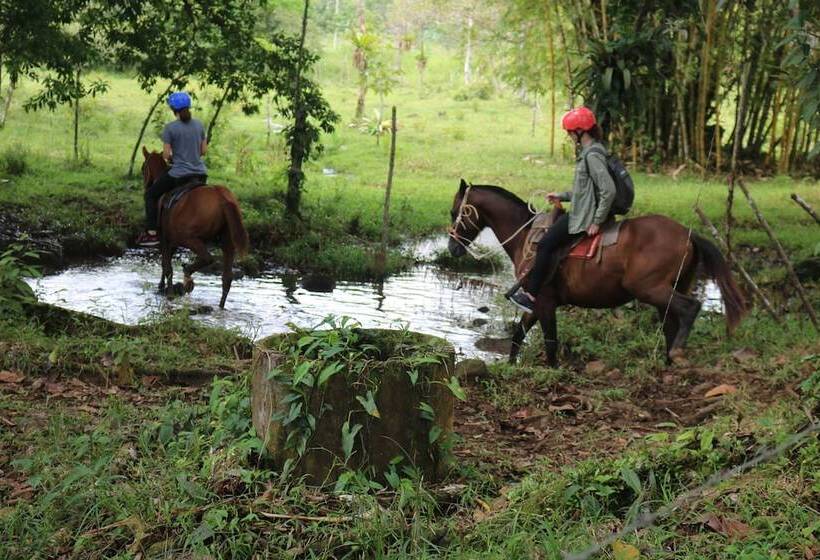 فندق Cabinas Sueño Real Guatuso