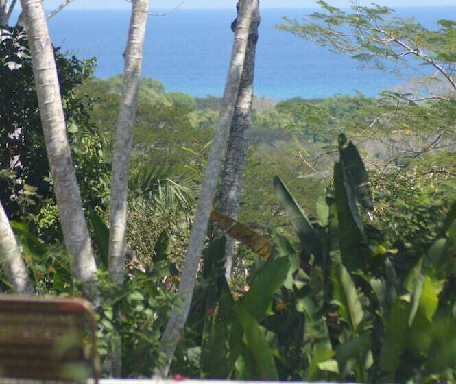 فندق Jungle Lodge At Wild Sun Rescue Center