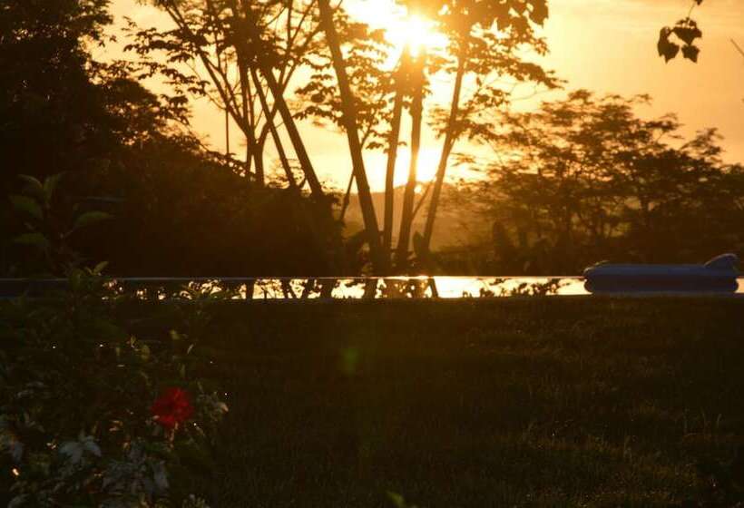 فندق Jungle Lodge At Wild Sun Rescue Center