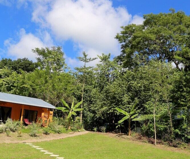 فندق Jungle Lodge At Wild Sun Rescue Center