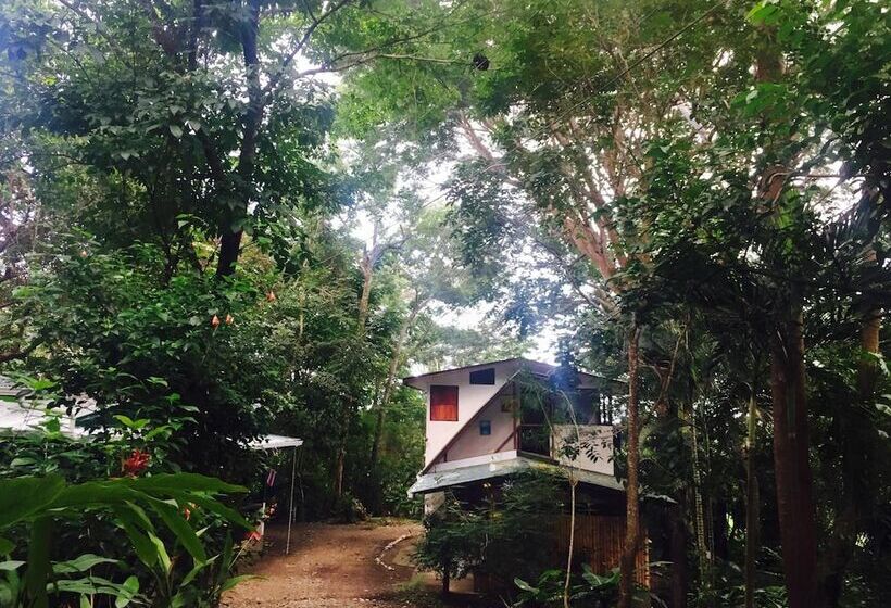 فندق Jungle Lodge At Wild Sun Rescue Center