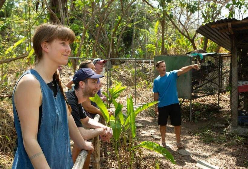 فندق Jungle Lodge At Wild Sun Rescue Center