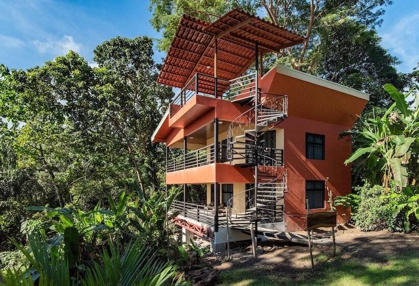 فندق Jungle Lodge At Wild Sun Rescue Center