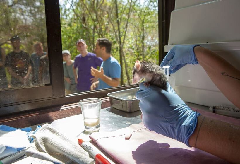 فندق Jungle Lodge At Wild Sun Rescue Center