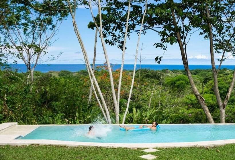 فندق Jungle Lodge At Wild Sun Rescue Center