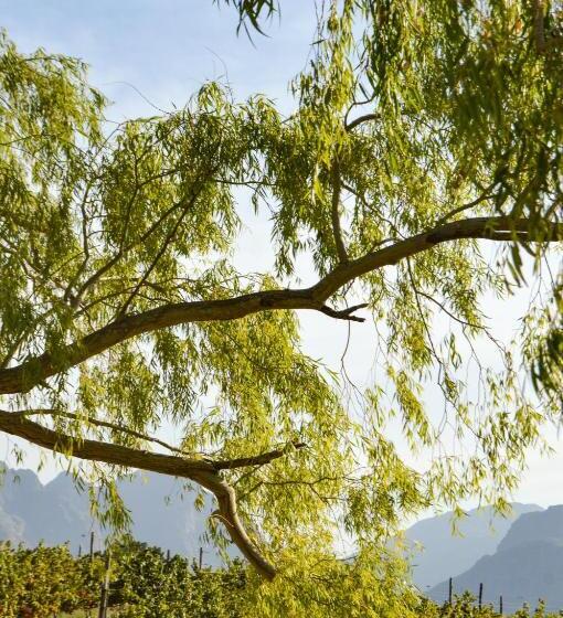 هتل Maison Montagne