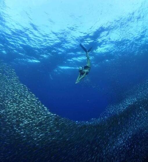 هتل Marina Village