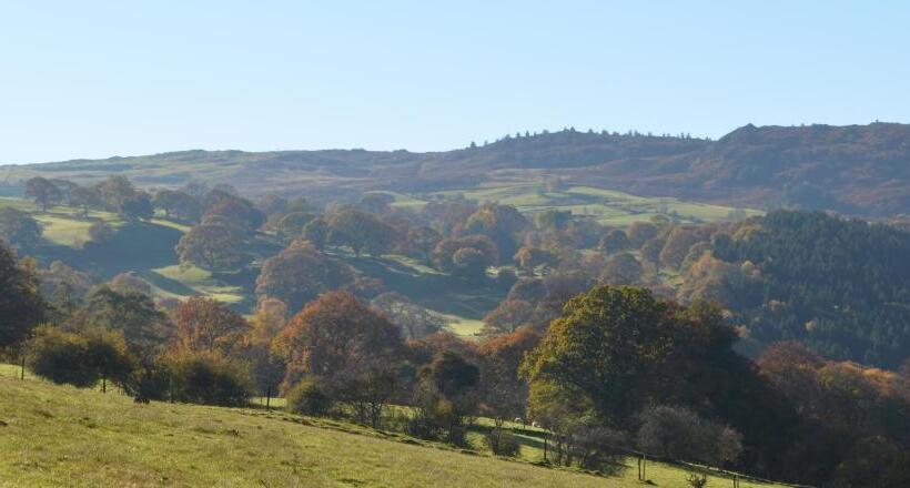 Отель Pale Hall