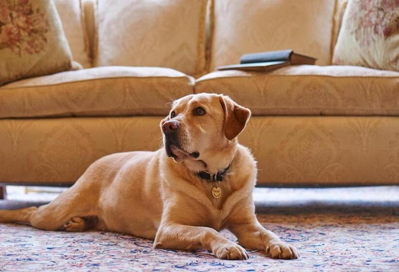 Отель Pale Hall