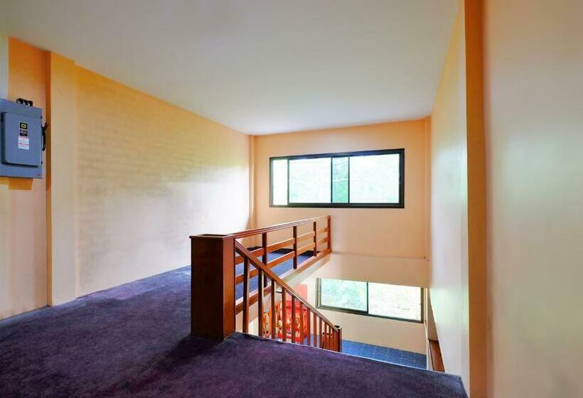 酒店 Rose In Mansion By Oyo Rooms